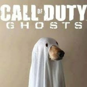 Meet your Posher, Blake